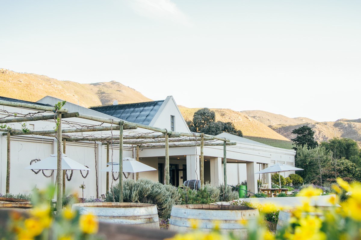 The Stanford Wine Route